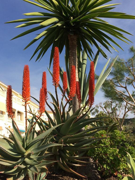Apartament Residentie Montesol Torrox Zewnętrze zdjęcie